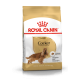 Royal Canin Cocker Adult – Hrană Uscată pentru Câini Adulți din Rasa Cocker Spaniel – 3 kg